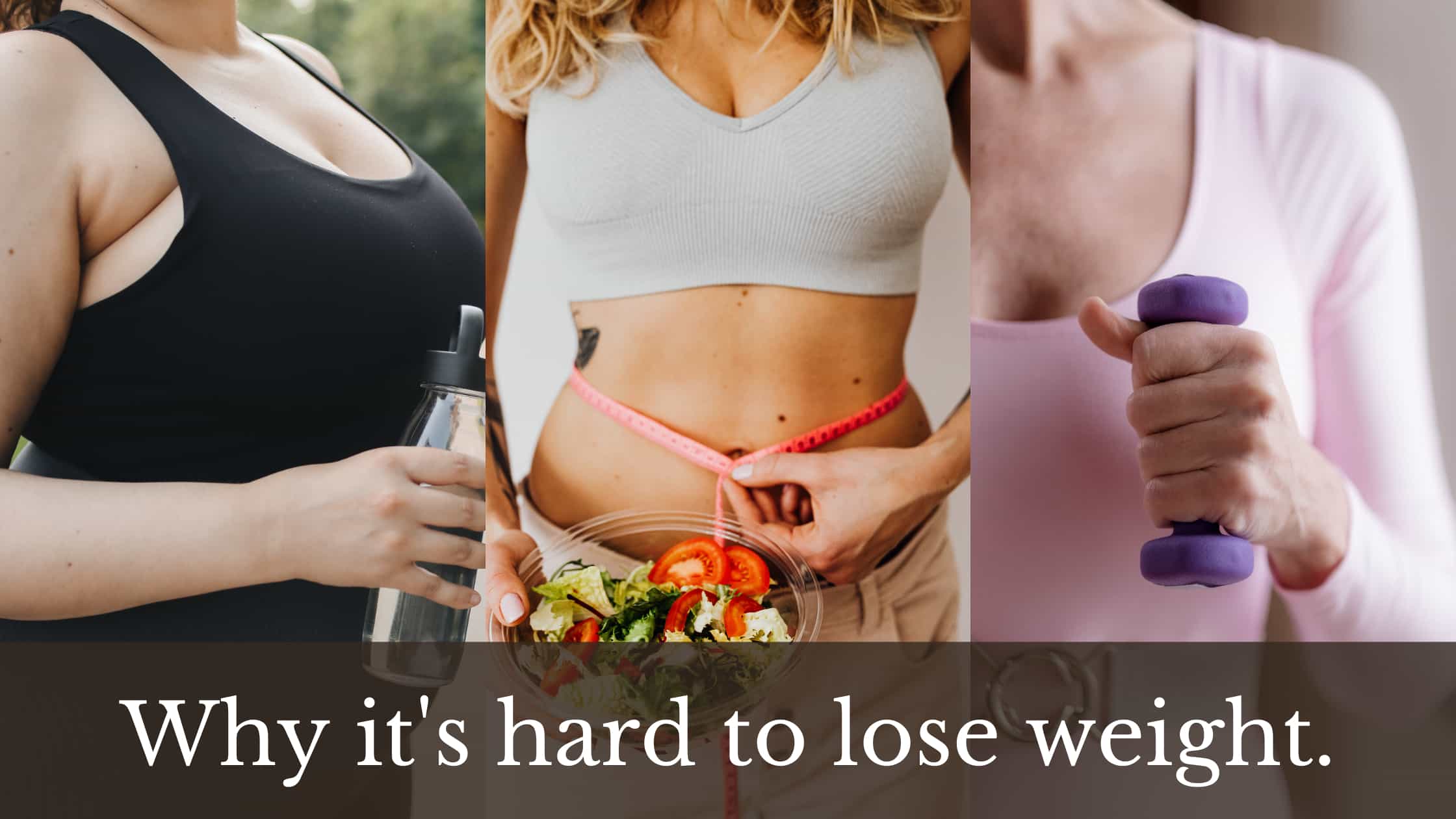 Read more about the article The Psychology of Weight Loss: Why it’s so hard to lose weight.